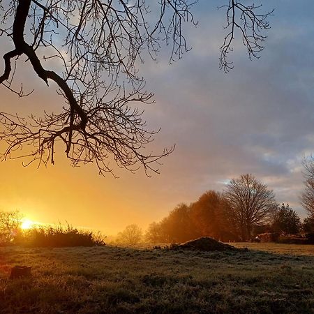 La Chamallow Coeur D'Artichaud ดีน็อง ภายนอก รูปภาพ