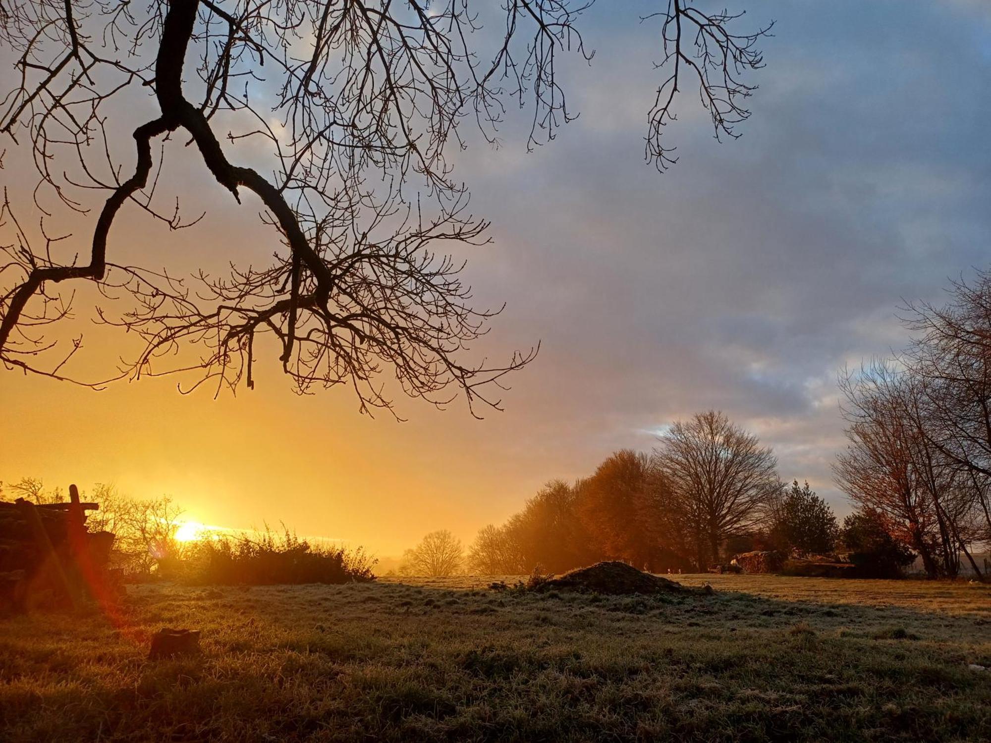 La Chamallow Coeur D'Artichaud ดีน็อง ภายนอก รูปภาพ